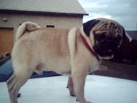 crim0055.jpg crim0055.jpg